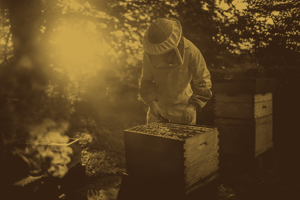 Willkommen in unserem neuem Online-Shop!